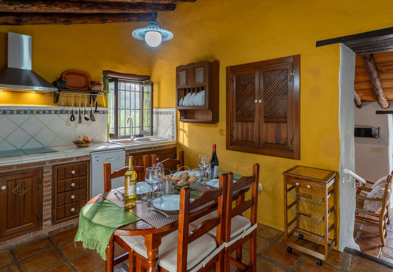 Landhaus in Frigiliana - Acebuchal 001 