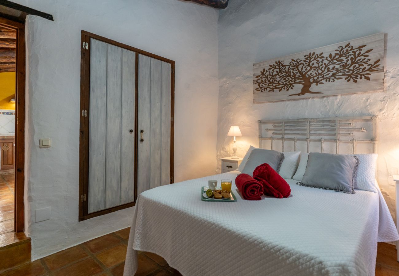 Landhaus in Frigiliana - Acebuchal 001 