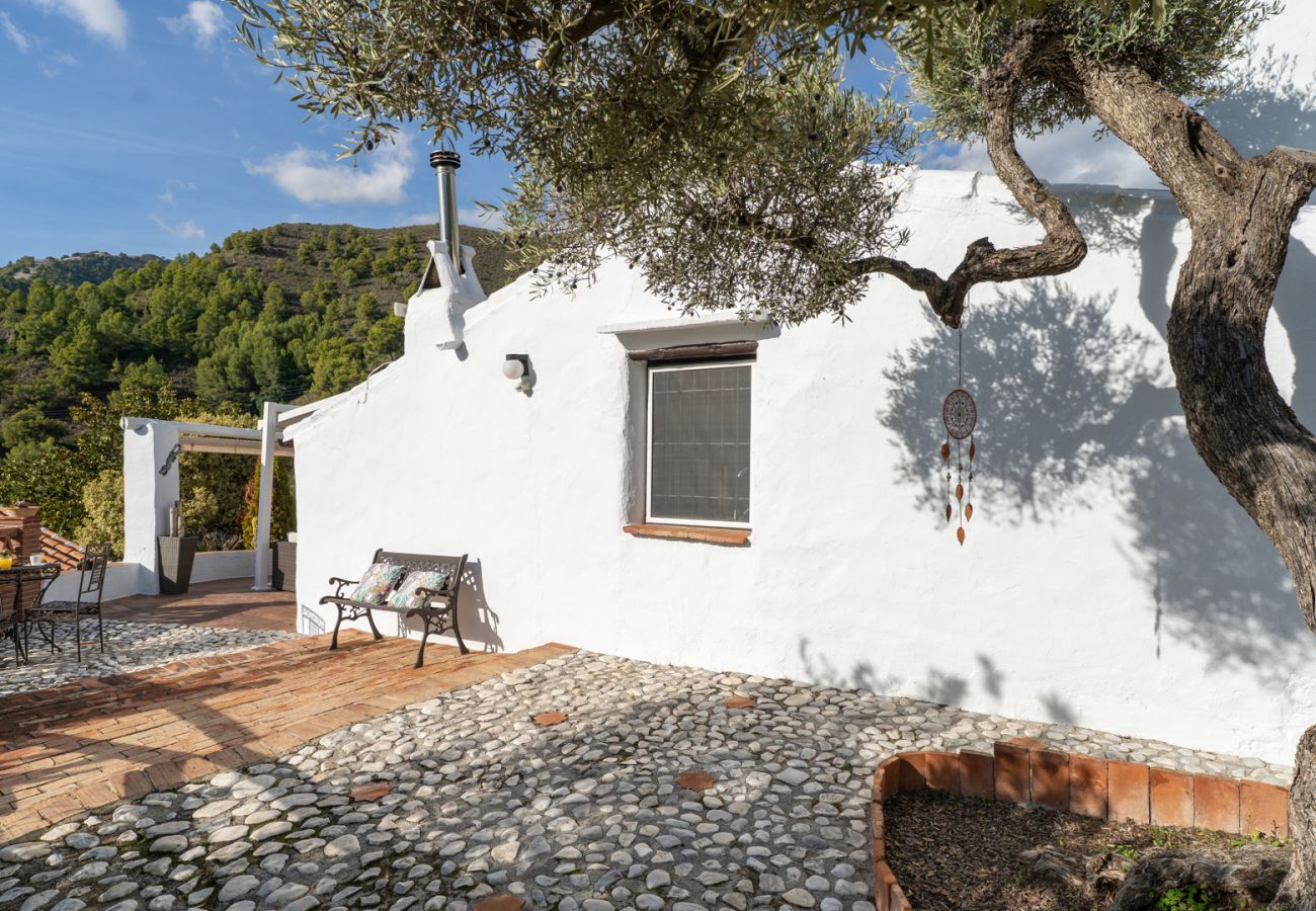 Landhaus in Frigiliana - Acebuchal 001 