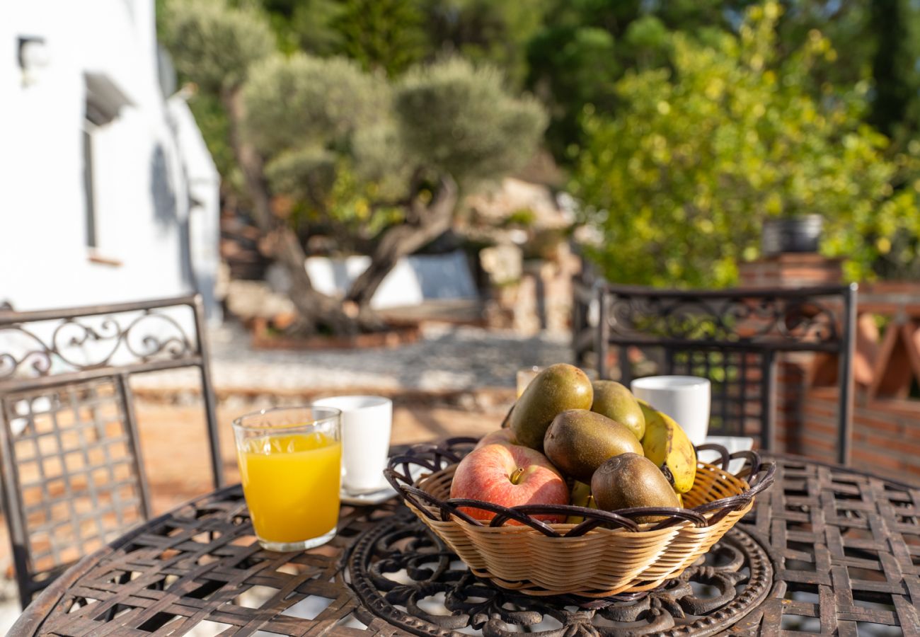Landhaus in Frigiliana - Acebuchal 001 
