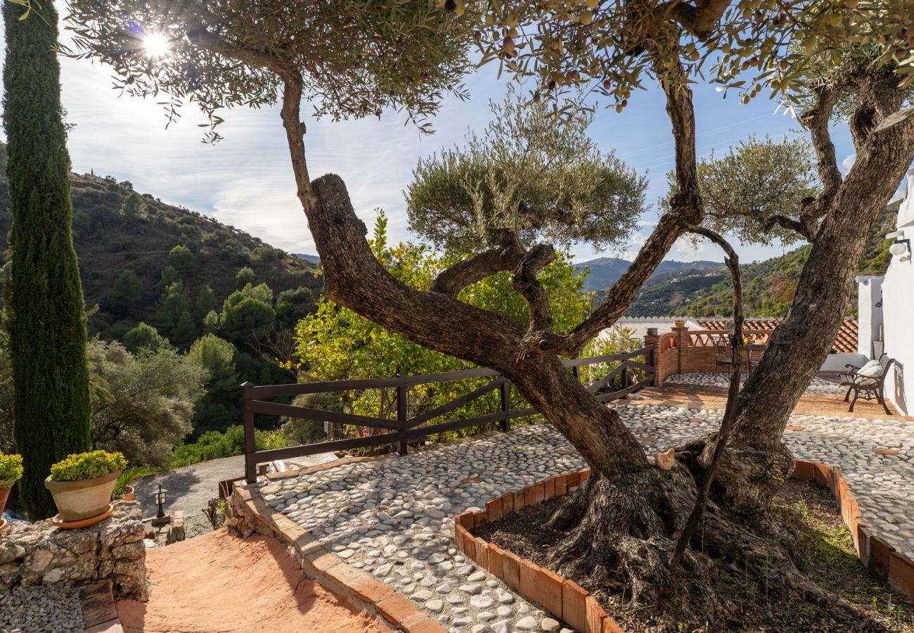 Landhaus in Frigiliana - Acebuchal 001 