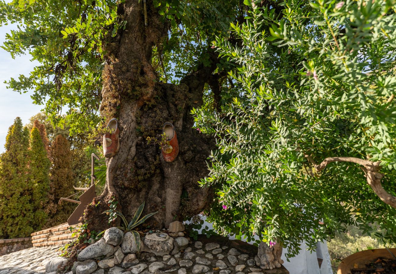 Landhaus in Frigiliana - Acebuchal 001 