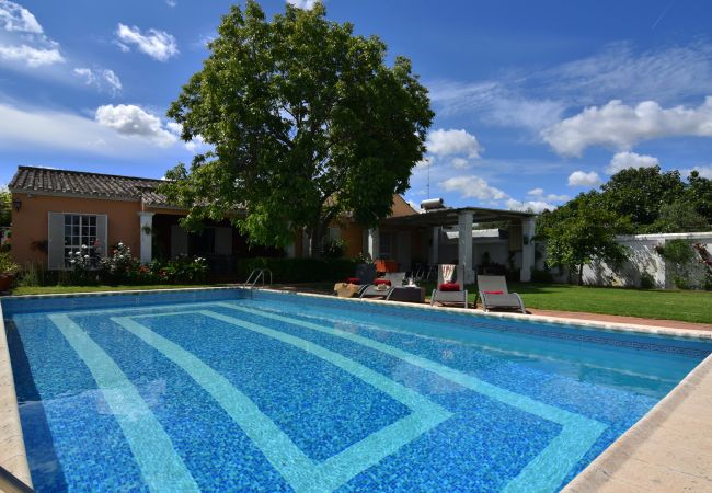 Villa in Palma del Río - Cordoba 004 Villa in Palma del Río - Cordoba 004