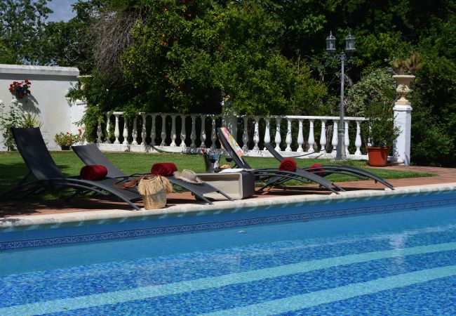 Villa in Palma del Río - Cordoba 004 Villa in Palma del Río - Cordoba 004