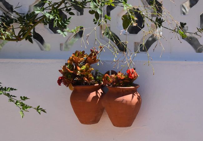 Villa in Nerja - Maro 001 Villa in Nerja - Maro 001