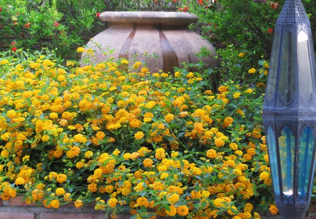 Landhaus in Frigiliana - Frigiliana 010 Landhaus in Frigiliana - Frigiliana 010