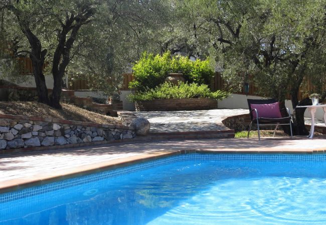 Landhaus in Frigiliana - Frigiliana 010 Landhaus in Frigiliana - Frigiliana 010