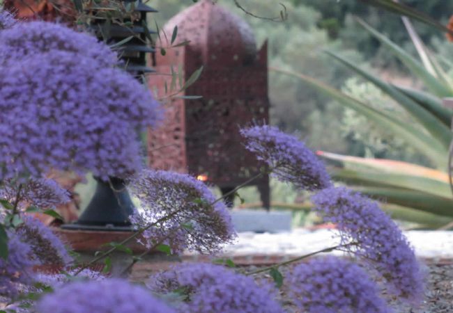 Landhaus in Frigiliana - Frigiliana 010 Landhaus in Frigiliana - Frigiliana 010