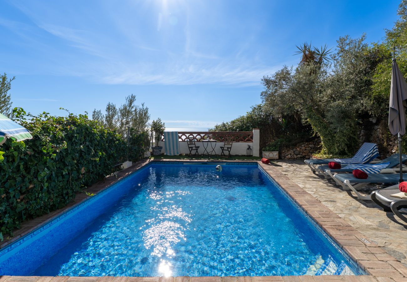 Villa in Frigiliana - Frigiliana 015 