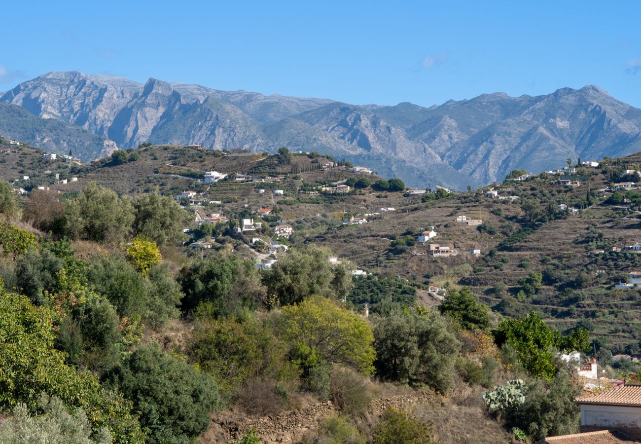 Villa in Torrox - Ref. 455989