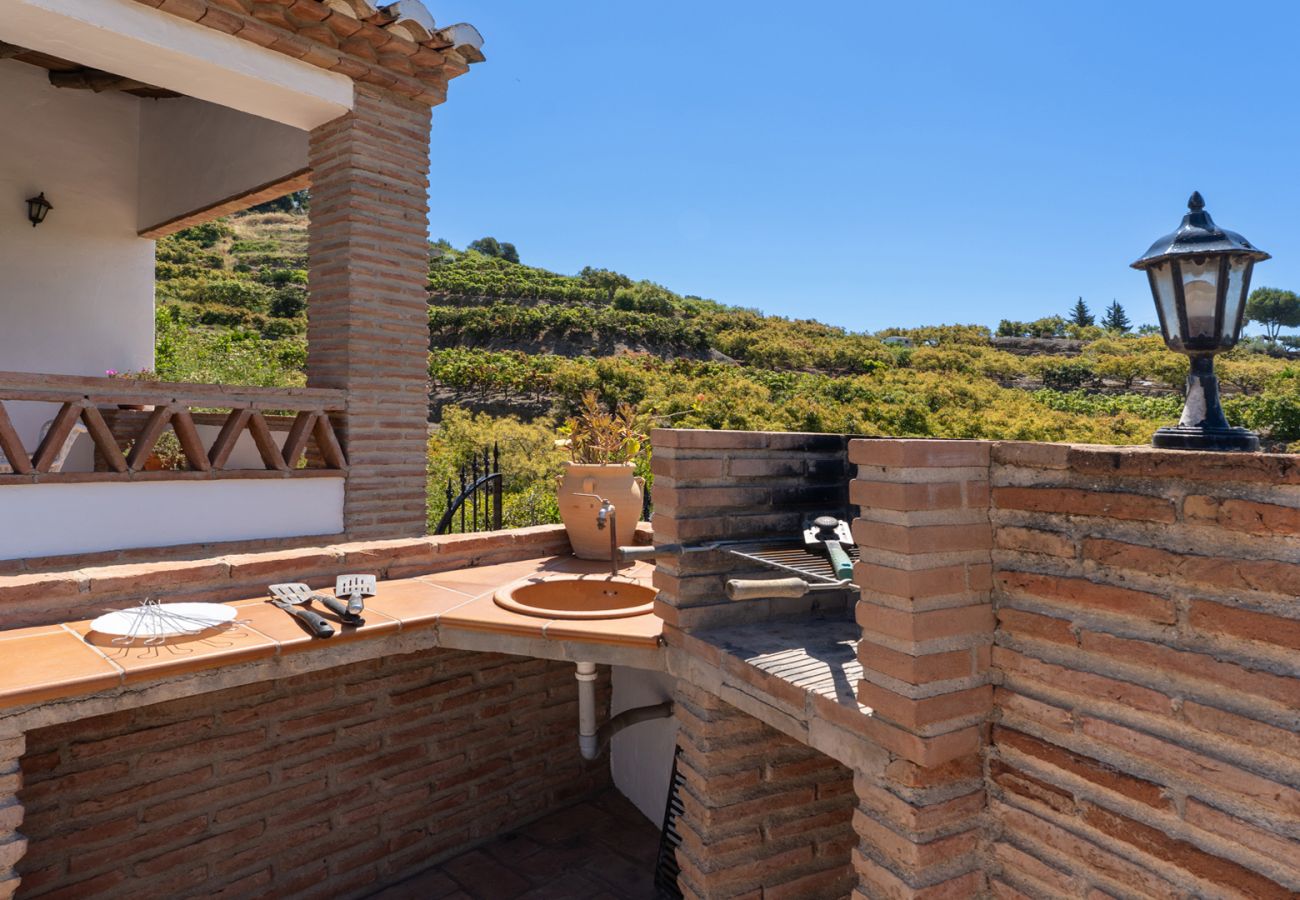 Villa in Frigiliana - Frigiliana 033
