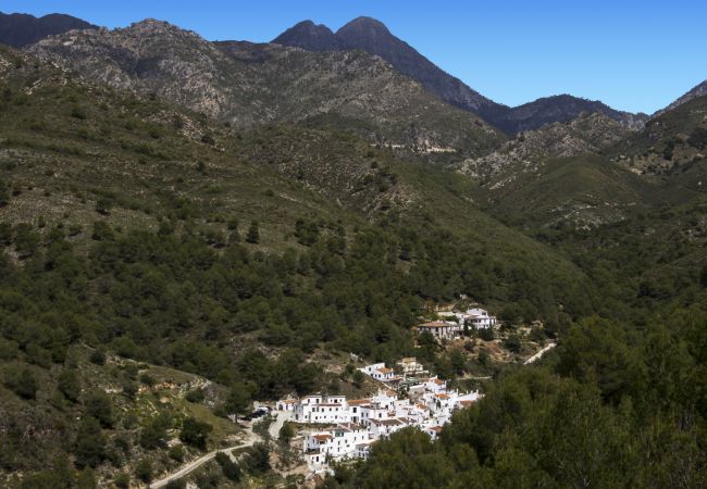 Villa in Frigiliana - Acebuchal 002 Villa in Frigiliana - Acebuchal 002