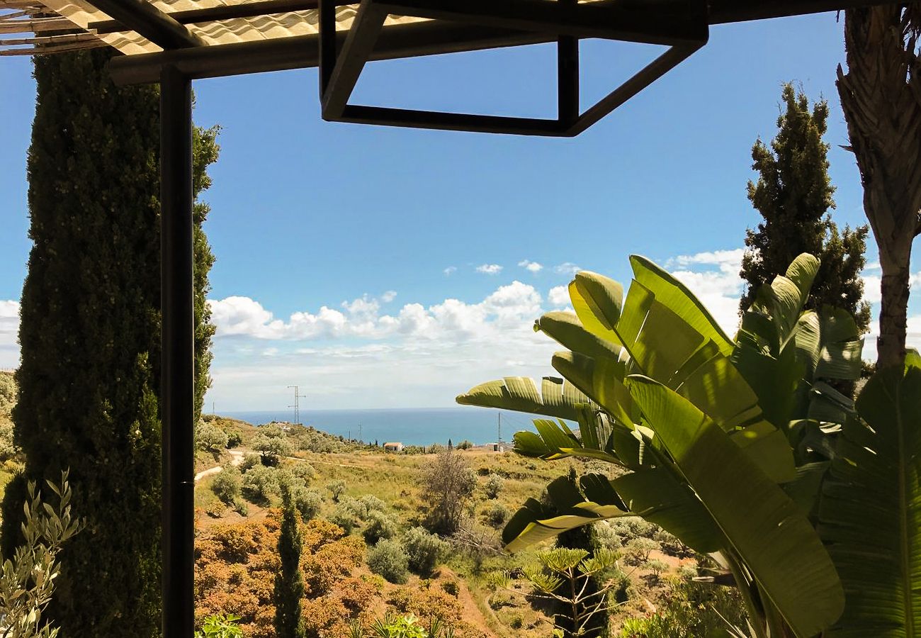 Villa in Frigiliana - Frigiliana 020