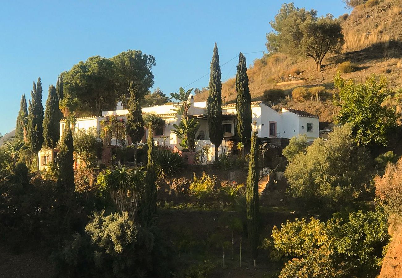 Villa in Frigiliana - Frigiliana 020