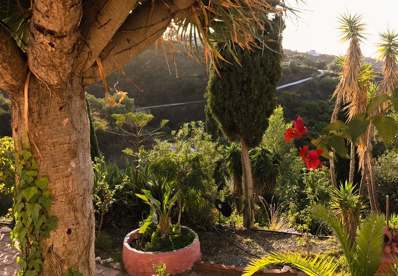 Villa in Frigiliana - Frigiliana 020